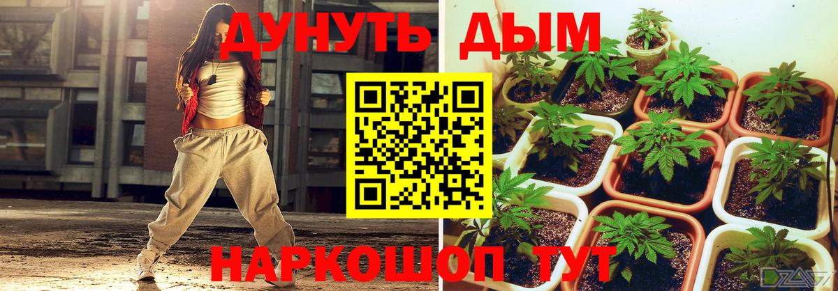 Каннабис Bruce Banner  МАРИХУАНА гибрид  Канабис AK-47  Губаха  Вход с VPN  Марихуана Amnesia 